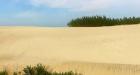 Trepar dunas en Miramar